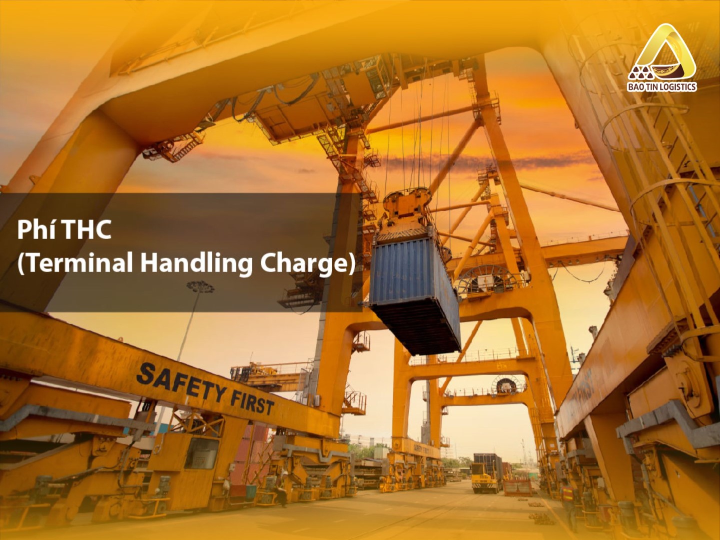local-charge-la-gi-cac-loai-phi-local-charge-thuong-gap-voi-hang-xuat-khau