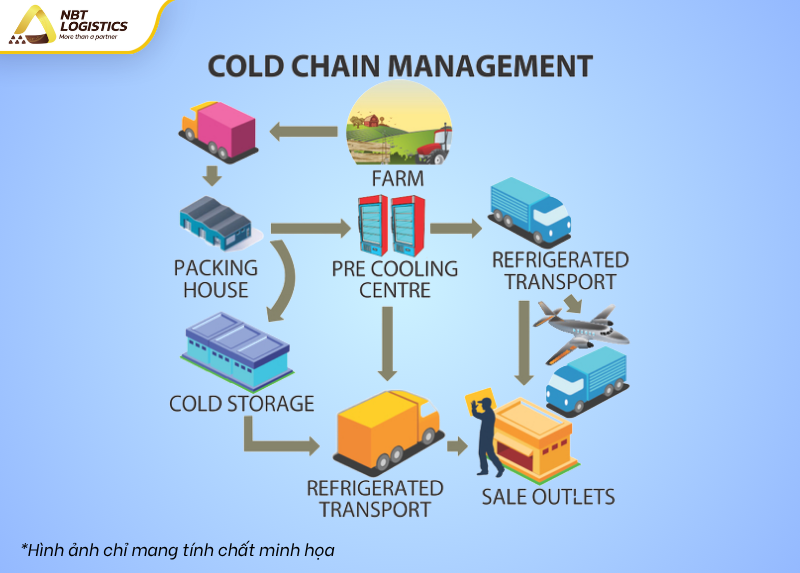 chuoi-cung-ung-lanh-cold-chain-1